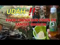 UMPAN IKAN MAS HANYA TAMBAH KROTO ❗️ LANGSUNG TEST DI KOLAM SURYA BAROKAH