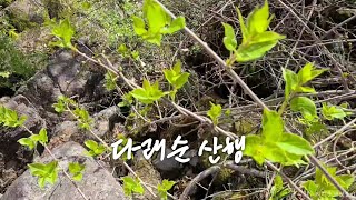 지리산 다래순 산행과 가재와의 만남