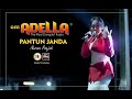 Pantun Janda - Nurma Paejah Adella || DIANA RIA ENTERPRISE || MG PRO AUDIO || STUDIO TEMBAKAU