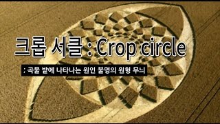 크롭 서클: Crop circle에 관한 미스테리 [Mystery girl]