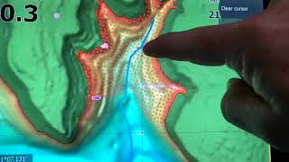 C-MAP REVEAL: Instructional video
