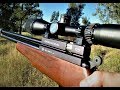 Evanix hunting master 22 // Pigeon Hunting!