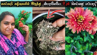 காய்கறி கழிவுகளை உரமாக்குவது எப்படி? | ✅ இயற்கை உரம் | 💢 Make Compost From Kitchen Waste