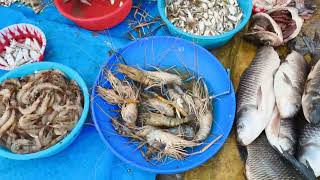 Bargarh fish market....All kind of fish and prawn available