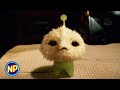 Dicky Gets a New Pet | CJ7 (2008) | Now Playing