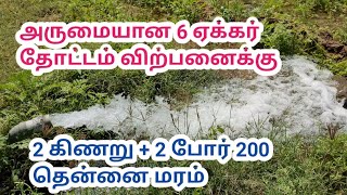 வற்றாத தண்ணீர் வசதியுடன் கூடிய 6 ஏக்கர் தென்னை தோட்டம் விற்பனைக்கு | Farm Land For Sale In Salem