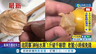 #三立最新 這是什麼水果? 收同事\