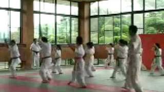 Kyokushin Karate - Hajime Kazumi