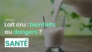 Lait cru : bienfaits ou dangers ?