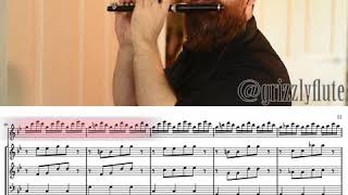 GRIZZLYFLUTE // Third movement (Opening Solo) of the Concerto in C Minor RV 441 by Antonio Vivaldi.