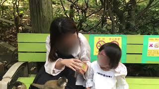 リスザルと2歳娘がたわむれるのが可愛いすぎていじわるしちゃったママ　面白動画