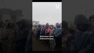 Мигрантов вербуют на войну