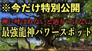 早い人は1分後本当に来ます※おめでとうございます！今後あなたはなぜか上手くいく波動になり幸運が舞い込みます。龍神様のご加護で成功法則の流れに乗れます。大杉神社（北原竜宮）遠隔参拝２６５