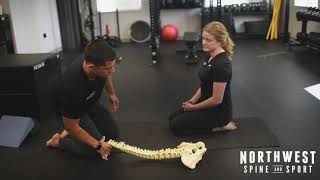 Spinal Segmentation