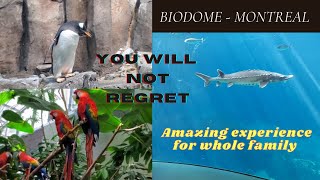 You Will Not Regret BIODOME IN MONTREAL, 4K video. A New Amazing Experience.