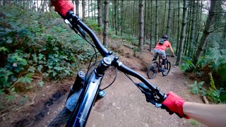 Cannock MTB Was a Blast! || Cannock Chase’s Follow the Dog and Monkey Trail!