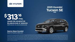 Hyundai Tucson 01/23/2025 4876964