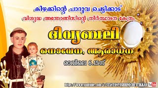 14 JANUARY 2025 ||  ദിവ്യബലി ||  ST. ANTONYS SHRINE CHETTIKKAD