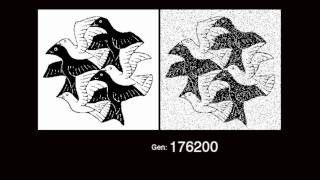 GAraw Image Based Genetic Algorithm