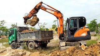 Máy Xúc DOOSAN DX55W Múc Đất, Xe Ô Tô Tải Ben TMT Chở Đất | Excavator Truck | TienTube TV