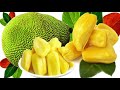 কাঁঠালের উপকারিতা jackfruit er upokarita কাঁঠাল খেলে কি হয় ।