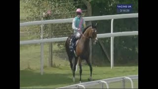 2012 Sussex Stakes 萨塞克斯锦标 - 范高尔 (Frankel) (UP主解说)