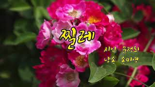 🌺 찔레 / 문정희 (시낭송)