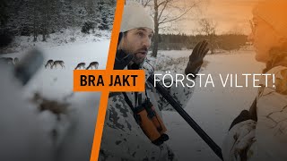 Jakt på dovvilt - Att lyckas fälla sitt första vilt! | BRA JAKT