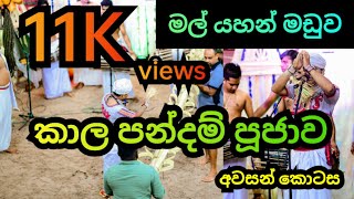 මල් යහන් මඩුව | කාල පන්දම් පූජාව | අවසාන කොටස