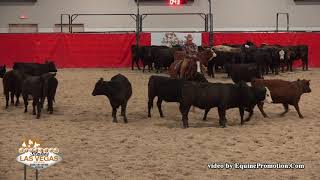 Smoking Red Pepper ridden by Sue A. Schmitz  - 2018 NRCHA Stallion Stakes (Herd Work, NP Ltd. Spec.)