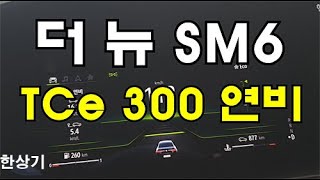 르노삼성 더 뉴 SM6 TCe 300 정속 주행 연비(2021 Renaultsamsaung Talisman TCe 300 Fuel Economy) - 2020.07.27