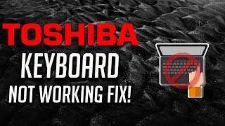 Fix Toshiba Keyboard Not Working Windows 10/8/7 - [3 Solutions 2024]