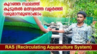 Questionnaire about RAS fish farming