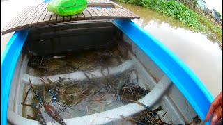 Tâm 67vlog_ Câu Tôm điểm củ trúng đậm nữa rồi 🦐🦐#caucagiaitri #fishing @tam67vlog