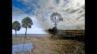 Exploring Old Florida at Charles H. Bronson State Forest