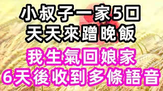 小叔子一家5口天天來蹭晚飯，我生氣回娘家，6天後收到多條語音#心書時光#淺談人生#民間故事#孝顺#儿女#讀書#養生#深夜淺讀#情感故事#房产#晚年哲理#中老年心語#養老#小嫺說故事#遗产#赚钱