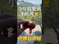 發財之路ep1石碇虎爺公廟🐯今年拿到小紅虎🔥恭喜發財🧧教你如何補財庫💰虎爺錢💎四方金紙。【藍遊記】@blue0401