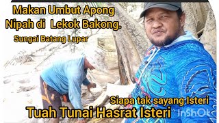 Tuah Tunai Hasrat Isteri Makan Umbut Apong /Nipah #Siapataksayangisteri