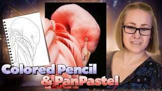 Flamingo Colored Pencil \u0026 Pan Pastels - Full Tutorial