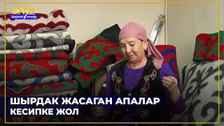 ШЫРДАК ЖАСАГАН АПАЛАР //Кесипке жол