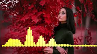 Ragheb Alama - Nasini El Donya | REMIX MUSIC 2023 | راغب علامة - نسينى الدنيا