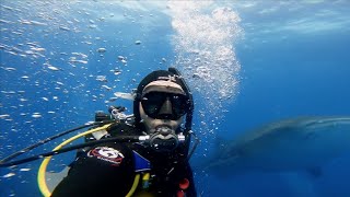 Las Islas Galápagos I Efecto Pirry