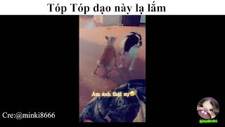 Xời tuyệt vời luôn!!!