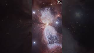 Astrophiles WhatsApp status ❤️ | #space #universe #cosmos #shorts #mrnobody | Mr. Nobody
