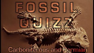 FOSSIL QUIZZ / Carboniferous and Permian