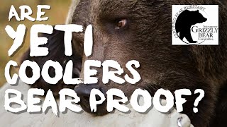 Are Yeti Coolers Bear Proof? Plus How Are They Tested