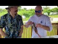 field to table shooting delicious lionfish to protect our reefs