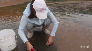 暴雨后，花甲纷纷露出水面，妹子赶海狂捡一大堆，还有可爱虎头蟹