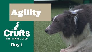 Agility - Championships – Large (Agility) | ​Crufts 2025
