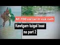 Kawlgam tuigal buai na Part 2 - mi 700 lei in vuk nelh